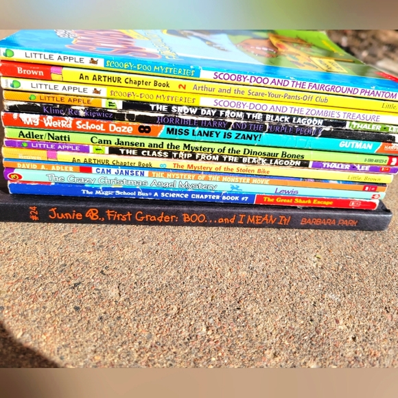 Young Reader Chapter Books - Picture 2 of 3